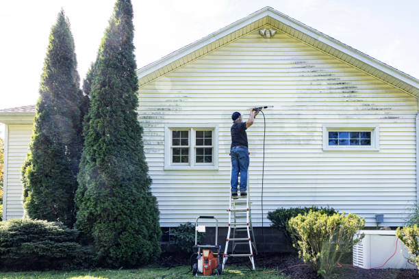 Best Driveway Cleaning and Restoration in Shamrock, TX